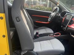 Chery Ant 200,000 Ant Fans Edition Talented Version Ternary Lithium 301km - ფოტო 7