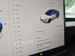 Tesla Model 3 Long Range All-Wheel Drive - ფოტო 10
