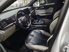 BYD Qin Plus DM-i 55KM Luxury - ფოტო 5