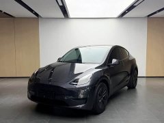 Tesla Model Y Rear-Wheel Drive - ფოტო 1