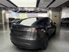Tesla Model Y Rear-Wheel Drive - ფოტო 14