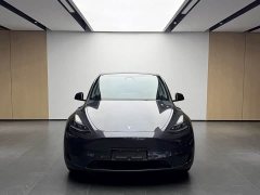 Tesla Model Y Rear-Wheel Drive - ფოტო 2