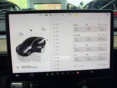 Tesla Model Y Rear-Wheel Drive - ფოტო 9