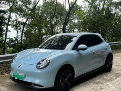 ORA Good Cat 2023 401km Standard Range Luxury Trim Ternary Lithium Battery - ფოტო 2