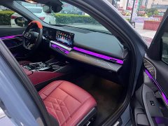 BMW 5 Series 530Li Luxury M Sport Package - ფოტო 9