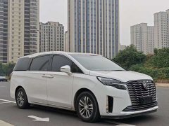 Buick GL8 ES Luxe Comfort - ფოტო 2