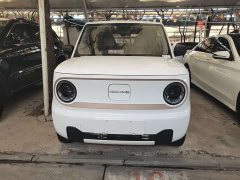 Geely Panda Mini 200km Endurance Edition - ფოტო 2