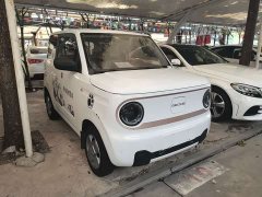 Geely Panda Mini 200km Endurance Edition - ფოტო 4