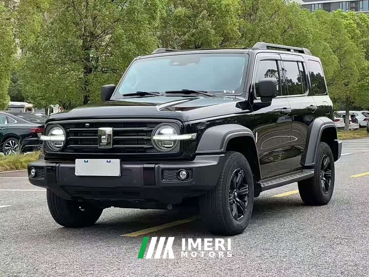 Tank 300 2021 Off-Road Edition 2.0T Conqueror - ავტომობილი ჩინეთიდან