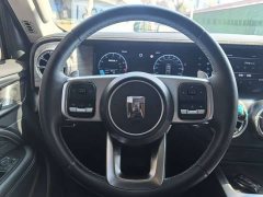 Tank 300 2021 Off-Road Edition 2.0T Conqueror - ფოტო 6
