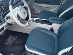 ORA Good Cat 400km Standard Range Luxury Lithium Iron Phosphate - ფოტო 5