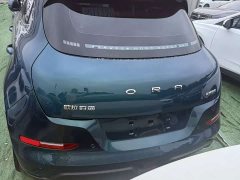 ORA Good Cat 400km Standard Range Luxury Lithium Iron Phosphate - ფოტო 8
