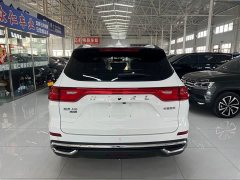 Haval M6 2021 PLUS 1.5T DCT Luxury Smart Connected Edition - ფოტო 8
