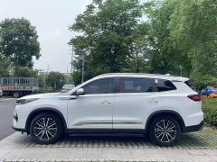 Chery Tiggo 8 PRO Champion Edition 390T Two-Wheel Drive Prestige 7-Seater - ფოტო 3