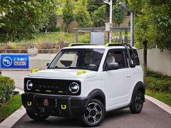 Geely Panda 2025 210km Panda Knight - ფოტო 1