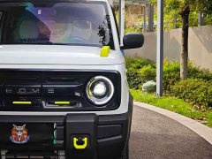 Geely Panda 2025 210km Panda Knight - ფოტო 14