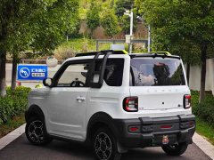 Geely Panda 2025 210km Panda Knight - ფოტო 15