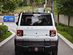 Geely Panda 2025 210km Panda Knight - ფოტო 16