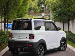 Geely Panda 2025 210km Panda Knight - ფოტო 17