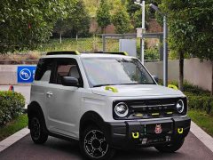 Geely Panda 2025 210km Panda Knight - ფოტო 3