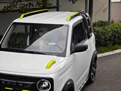 Geely Panda 2025 210km Panda Knight - ფოტო 8