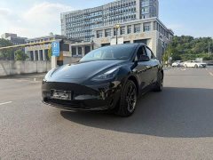 Tesla Model Y Rear-Wheel Drive - ფოტო 1