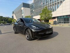 Tesla Model Y Rear-Wheel Drive - ფოტო 3