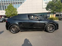 Tesla Model Y Rear-Wheel Drive - ფოტო 4