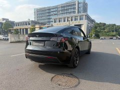 Tesla Model Y Rear-Wheel Drive - ფოტო 5