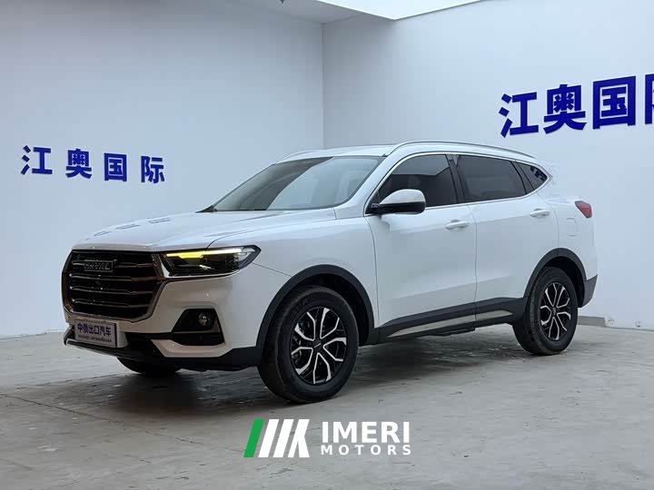 Haval H6 2021 National Trend Edition 1.5T Automatic Urban Version