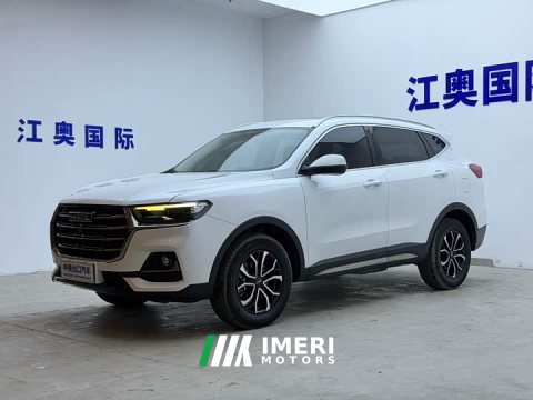 2023 Haval H6 2021 National Trend Edition 1.5T Automatic Urban Version - ავტომობილი ჩინეთიდან