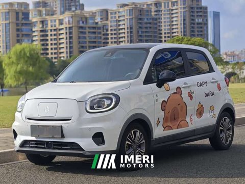 2021 Leapmotor Leapo T03 400 Luxury Edition - ავტომობილი ჩინეთიდან