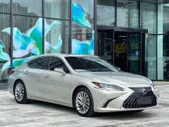 Lexus ES 300h Executive - ფოტო 9