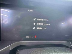 Tank 300 2021 City Edition 2.0T Stylish - ფოტო 13