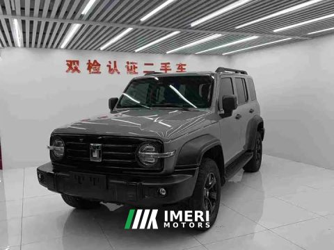 2021 Tank 300 Off-Road Edition 2.0T Conqueror - ავტომობილი ჩინეთიდან