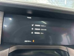 Tank 300 2021 Off-Road Edition 2.0T Conqueror - ფოტო 9