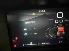 Tank 300 2021 Off-Road Edition 2.0T Conqueror - ფოტო 8