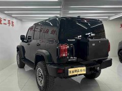 Tank 300 Off-Road Edition 2.0T Conqueror - ფოტო 7