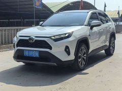 Toyota RAV4 2023 2.0L CVT FWD 20th Anniversary Platinum Edition - ფოტო 1