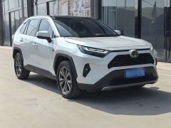 Toyota RAV4 2023 2.0L CVT FWD 20th Anniversary Platinum Edition - ფოტო 3