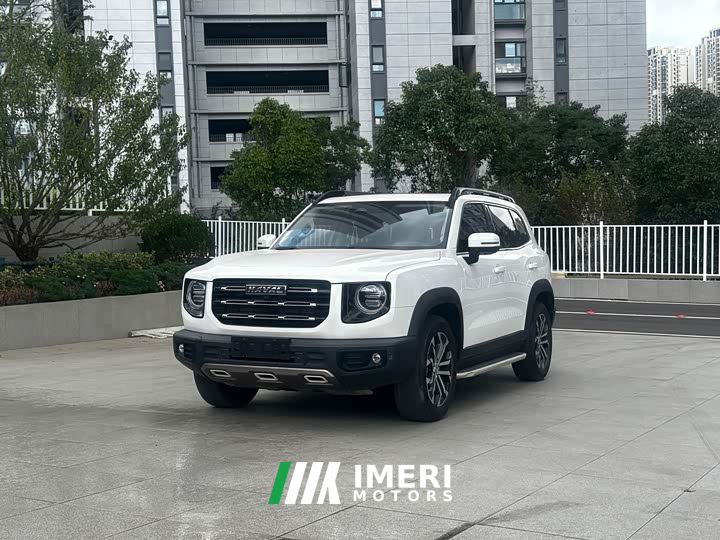Great Wall Dachshund 1.5T DCT Two-Wheel Drive Border Collie Edition