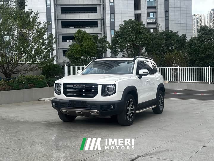 Great Wall Dachshund 1.5T DCT Two-Wheel Drive Border Collie Edition - ავტომობილი ჩინეთიდან