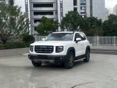 Great Wall Dachshund 1.5T DCT Two-Wheel Drive Border Collie Edition - ფოტო 1