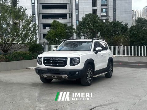 2021 Great Wall Dachshund 1.5T DCT Two-Wheel Drive Border Collie Edition - ავტომობილი ჩინეთიდან