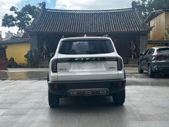 Great Wall Dachshund 1.5T DCT Two-Wheel Drive Border Collie Edition - ფოტო 14