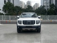 Great Wall Dachshund 1.5T DCT Two-Wheel Drive Border Collie Edition - ფოტო 3