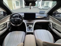 BYD Song Pro New Energy Champion Edition DM-i 110KM Excellence - ფოტო 10
