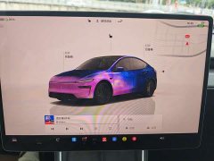 Tesla Model Y Rear-Wheel Drive - ფოტო 16