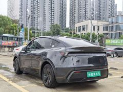 Tesla Model Y Rear-Wheel Drive - ფოტო 4