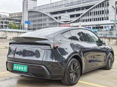 Tesla Model Y Rear-Wheel Drive - ფოტო 6